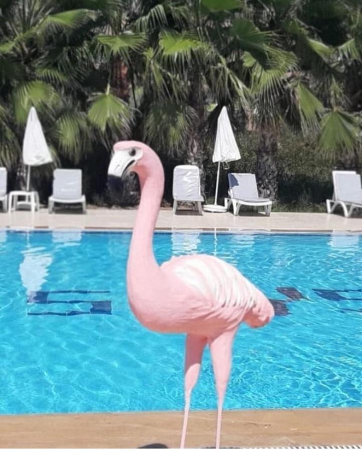 Skys Beach Hotel Манавгат Екстериор снимка